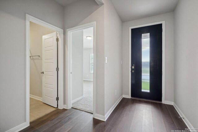 foyer entrance with dark wood-type flooring