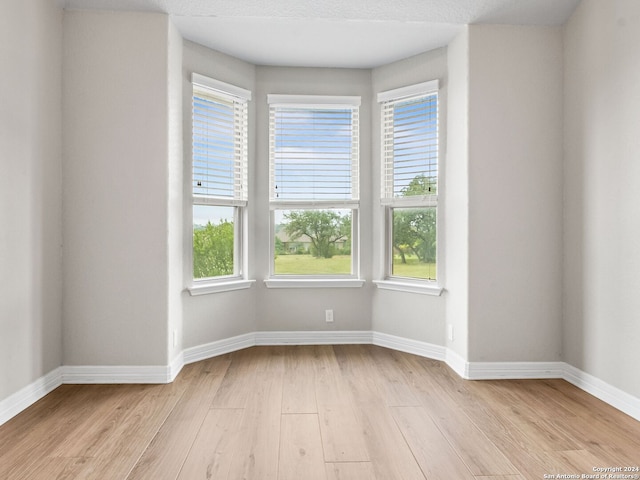 unfurnished room with light hardwood / wood-style floors and plenty of natural light