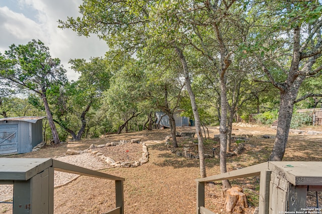 view of yard with a storage shed