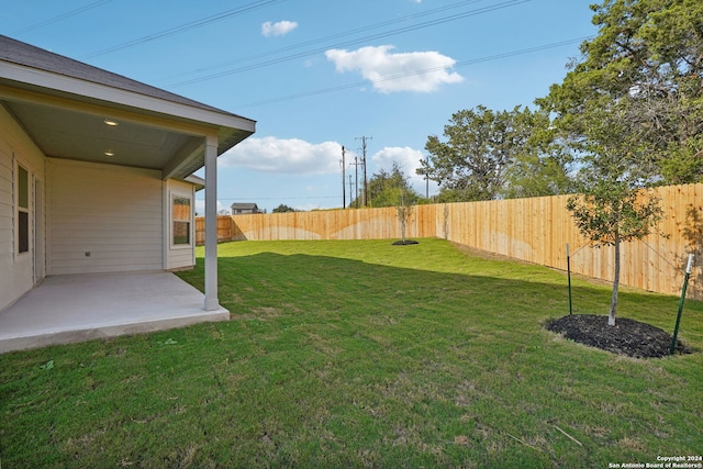 view of yard featuring a patio