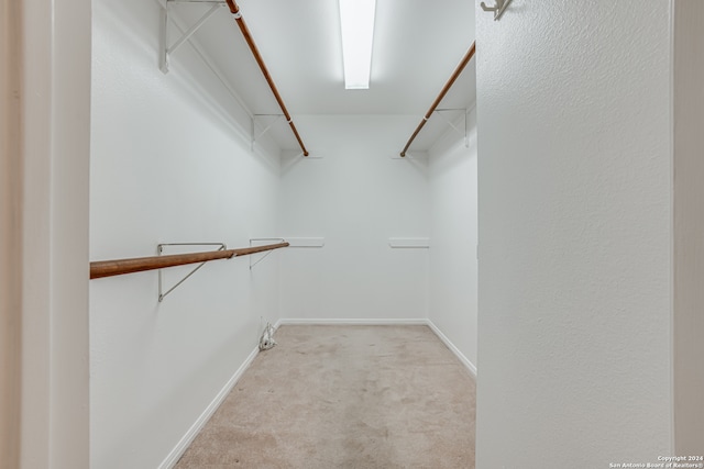 spacious closet featuring light colored carpet