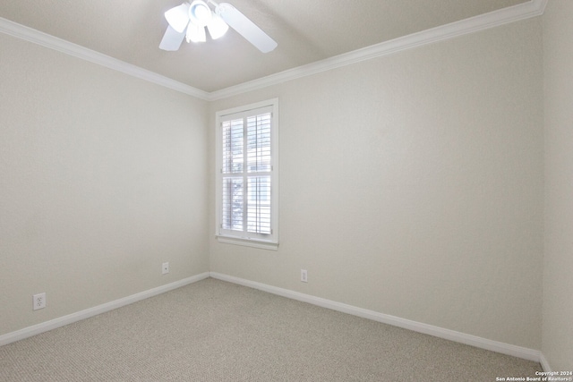 empty room featuring ornamental molding and carpet