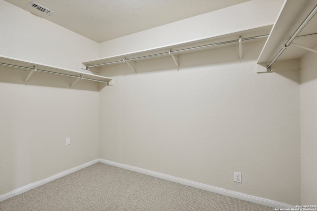 walk in closet featuring carpet