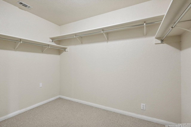 24434 Brazos Stage, San Antonio, TX 78255 - walk in closet with light carpet