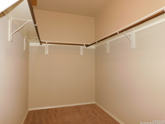 spacious closet with carpet flooring