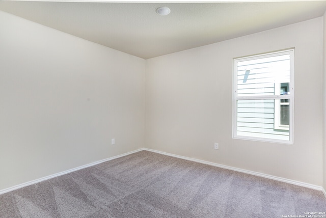 empty room featuring carpet and a wealth of natural light