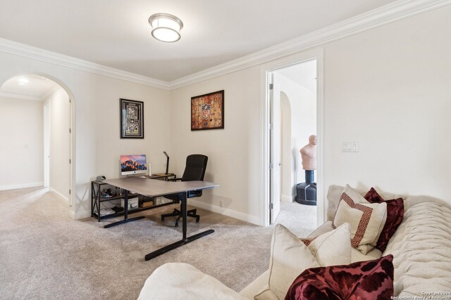 office featuring light colored carpet and crown molding