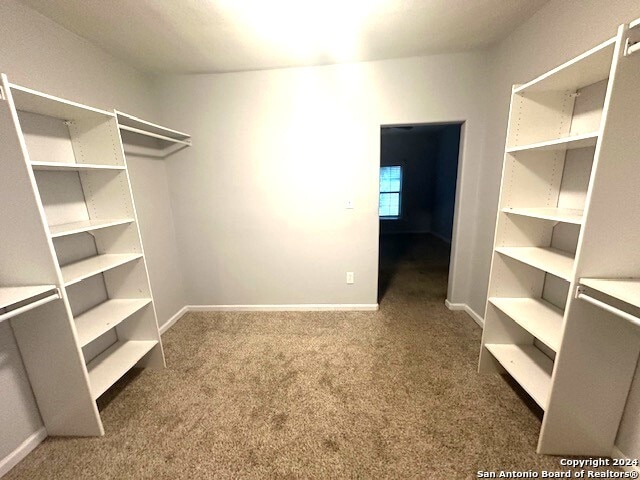 walk in closet with carpet