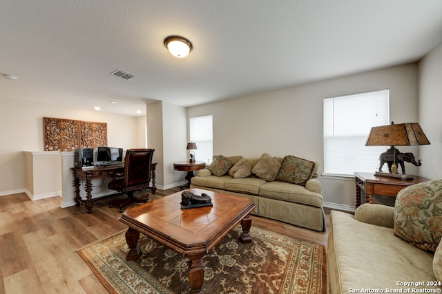 living room featuring light hardwood / wood-style flooring