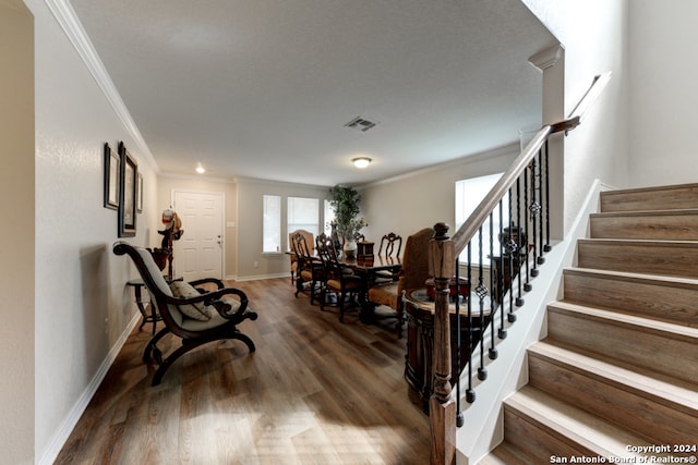 interior space featuring dark wood-type flooring and crown molding