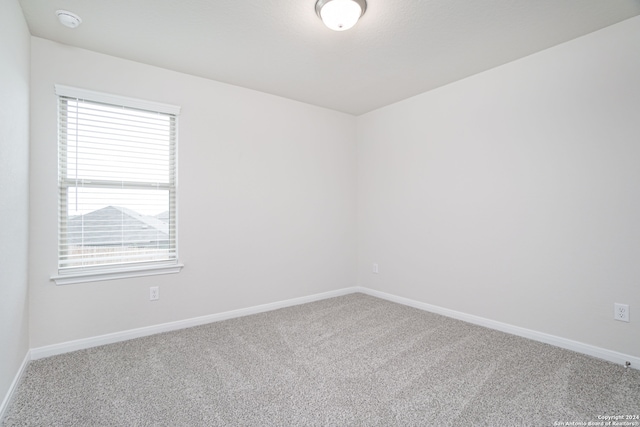 unfurnished room with carpet