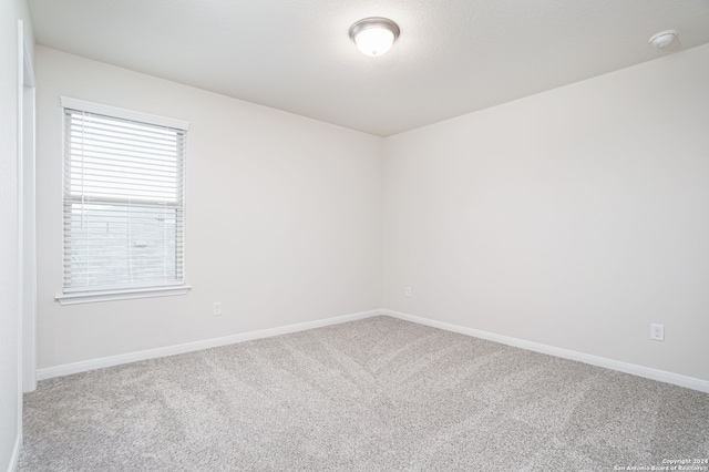 unfurnished room featuring carpet