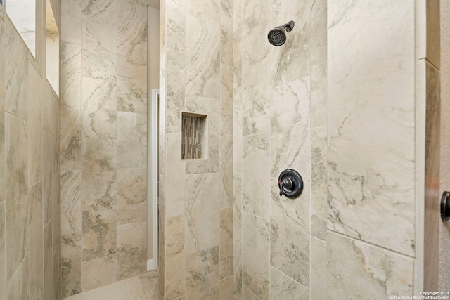 interior details featuring tiled shower