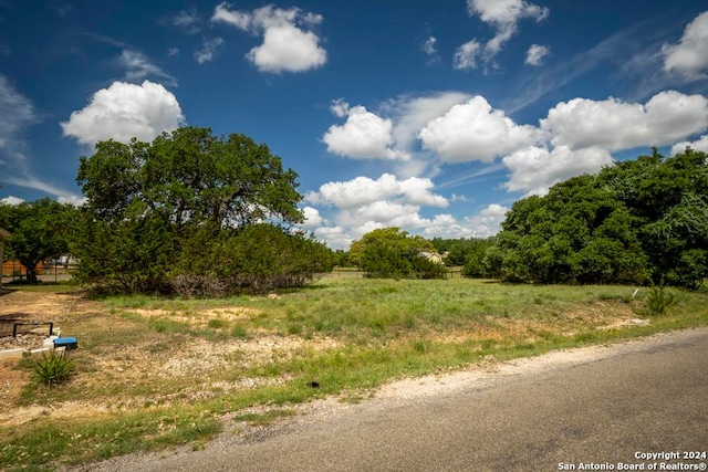 126 Frank Jones, Blanco TX, 78606 land for sale