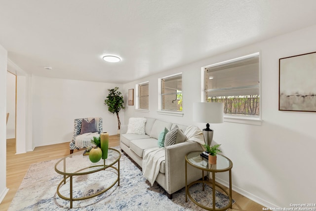 living room featuring light hardwood / wood-style flooring