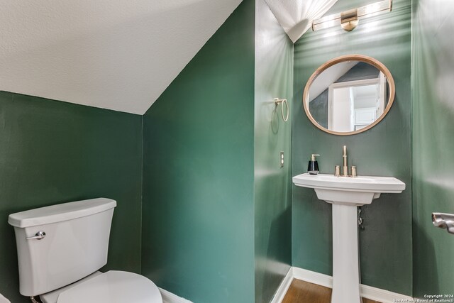 bathroom featuring toilet, sink, vaulted ceiling, and wood-type flooring