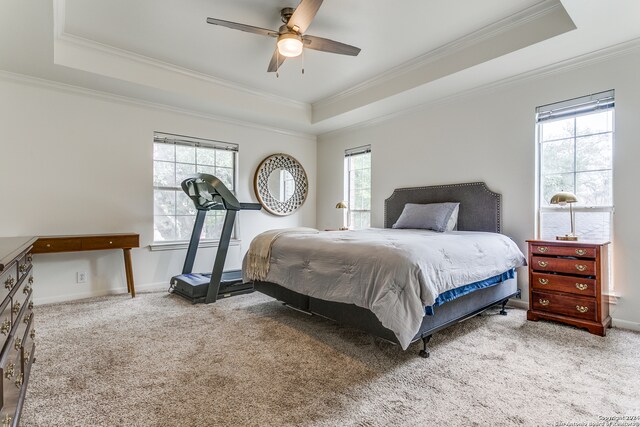 bedroom with carpet flooring, multiple windows, and a raised ceiling