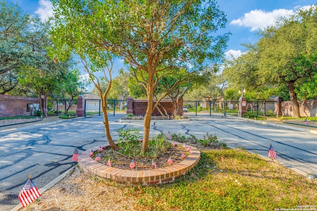 2210 Postoak Ct, San Antonio, TX 78248 - view of asphalt road featuring a gate, curbs, and a gated entry