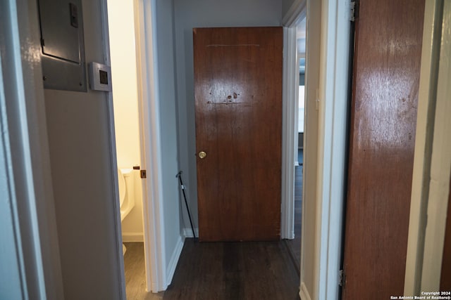 corridor featuring dark hardwood / wood-style floors