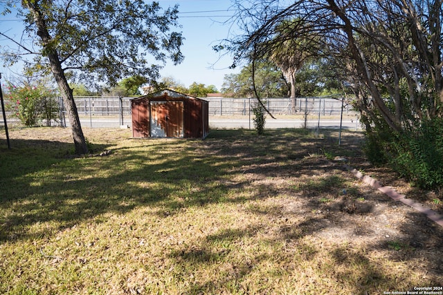 view of yard with a storage shed