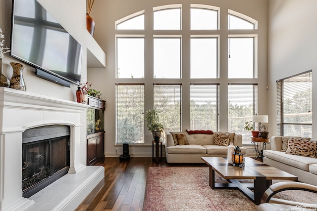 living room with hardwood / wood-style flooring, a healthy amount of sunlight, and a towering ceiling