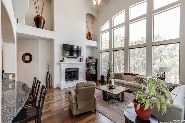 living room featuring dark hardwood / wood-style flooring, a high ceiling, and plenty of natural light