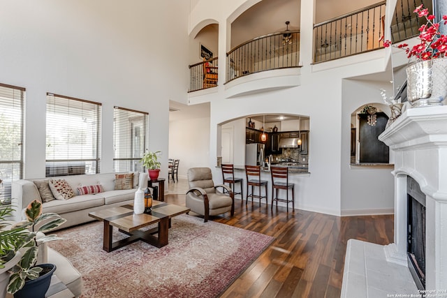 living room featuring dark hardwood / wood-style flooring and a high ceiling