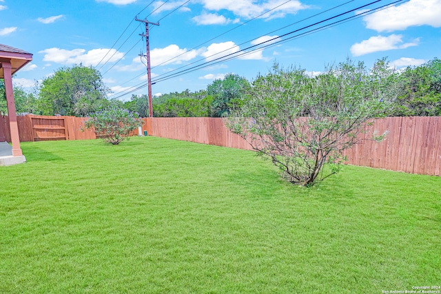 view of yard