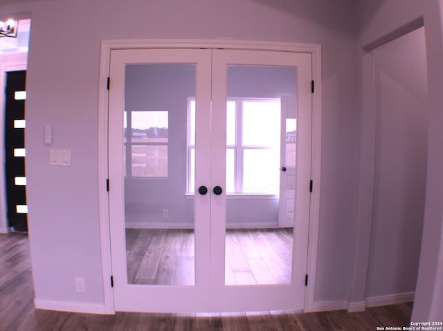 interior space featuring french doors and wood-type flooring