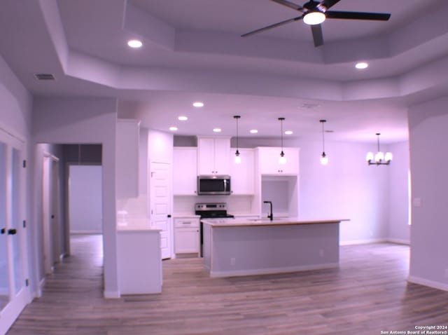 kitchen with a raised ceiling, a kitchen island with sink, and light wood-type flooring