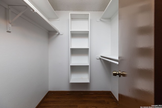 spacious closet featuring dark hardwood / wood-style floors