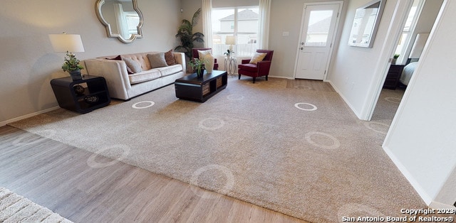 living room with light wood-type flooring