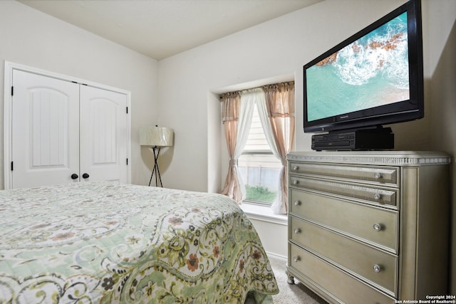 carpeted bedroom featuring a closet