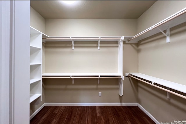 spacious closet featuring dark hardwood / wood-style floors