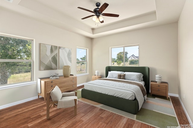 bedroom with dark hardwood / wood-style flooring, ceiling fan, and a tray ceiling