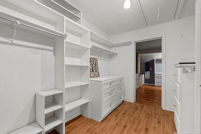 walk in closet featuring light hardwood / wood-style floors