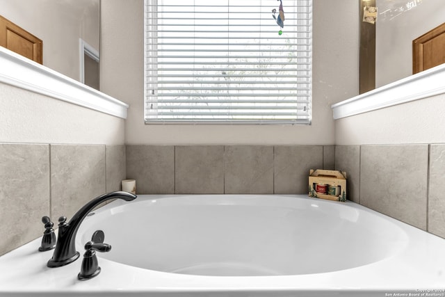 bathroom with plenty of natural light and a bathing tub