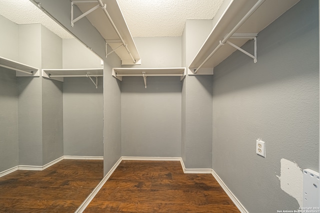 walk in closet with dark wood-type flooring