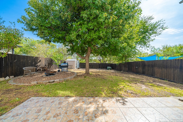 view of yard featuring a patio area and a storage unit