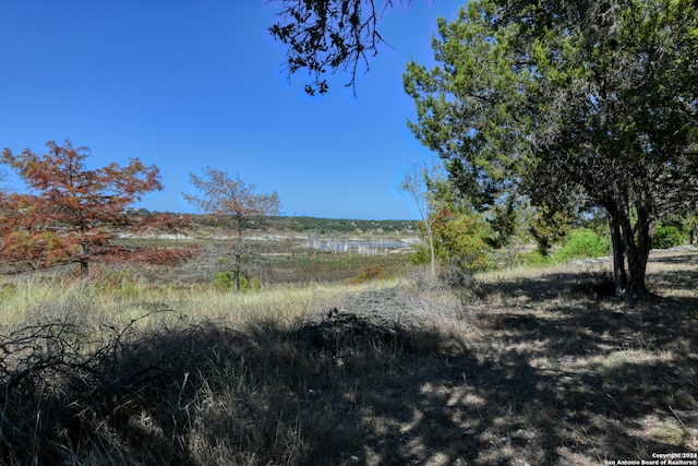 view of landscape