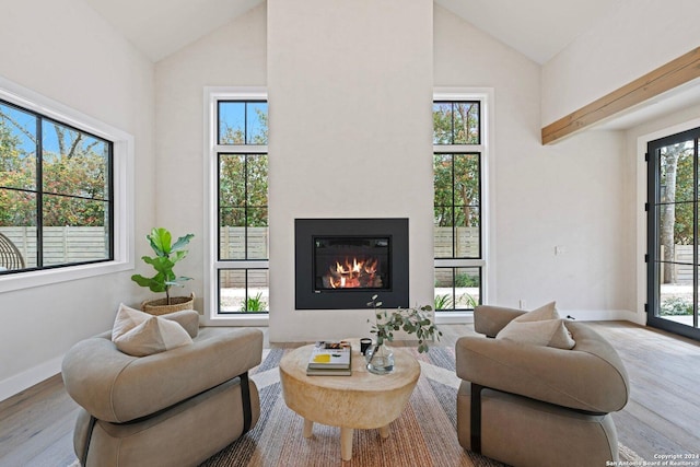 706 W Creek, Fredericksburg, TX 78624 - living room featuring high vaulted ceiling and light hardwood / wood-style flooring