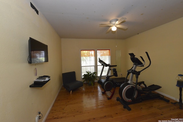 exercise area with wood-type flooring and ceiling fan