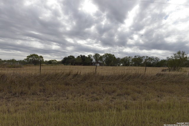 view of local wilderness with a rural view