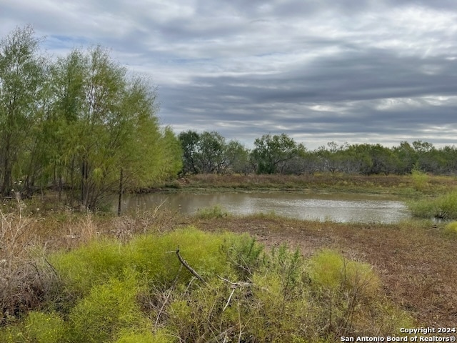 view of local wilderness featuring a water view