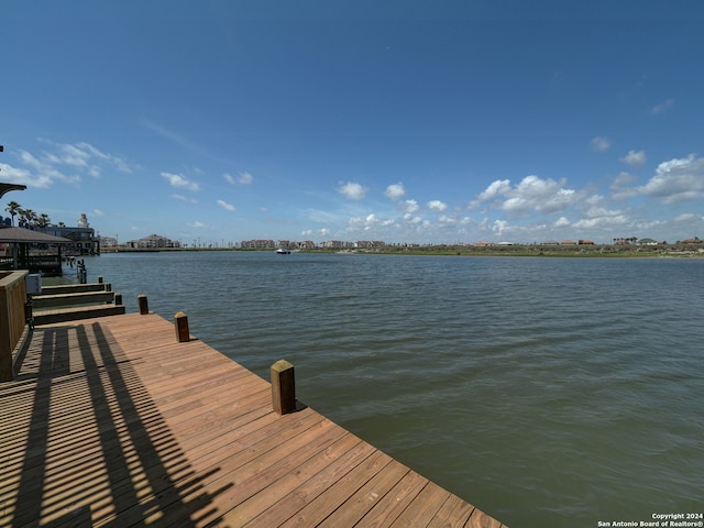 dock area with a water view