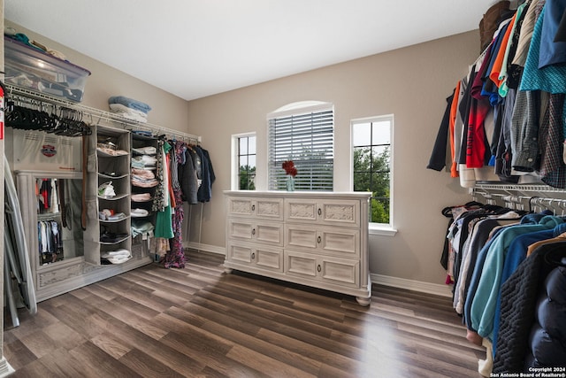 spacious closet with dark hardwood / wood-style floors