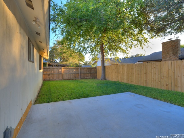 view of yard featuring a patio area