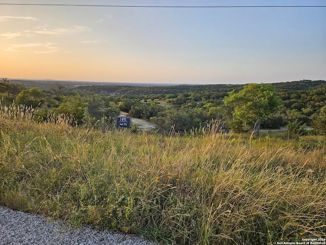 Listing photo 2 for LOT75A High Point Ranch Rd, Boerne TX 78006