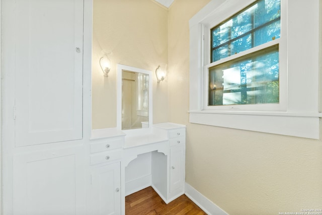 bathroom featuring hardwood / wood-style floors