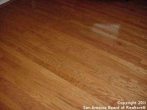 room details with wood-type flooring